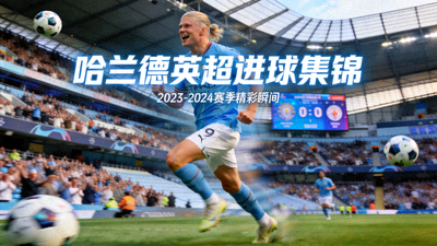 哈兰德英超进球集锦预览图